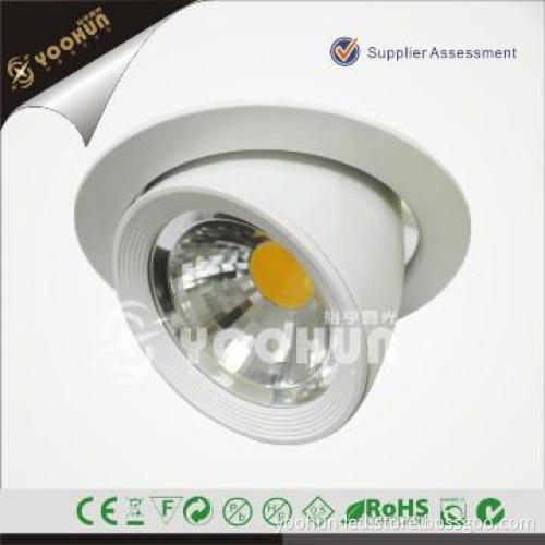 LED Downlight Shop Light White Round Adjustable 60 Degree
